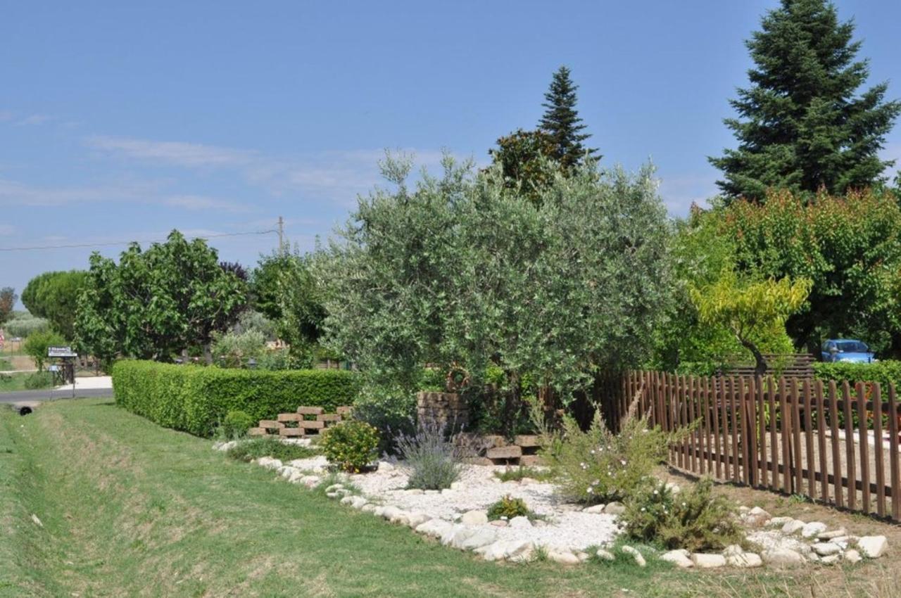Agriturismo Il Girasole Assisi Exterior foto